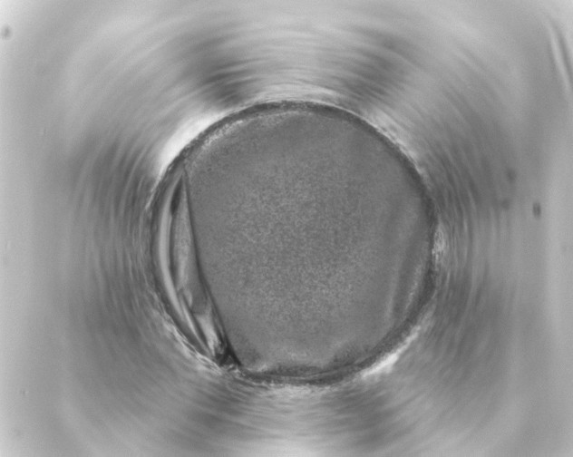 X0000088880877200706221812