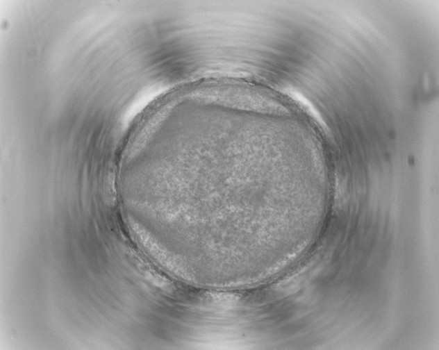 X0000088880878200706221812