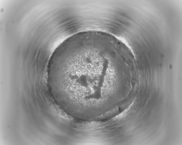 X0000088880879200706221812