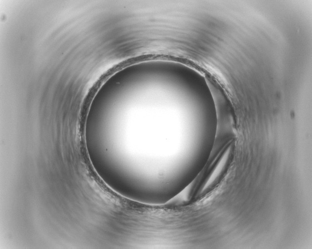 X0000088880880200706221812