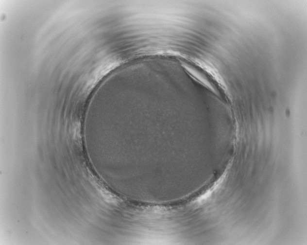 X0000088880881200706221812