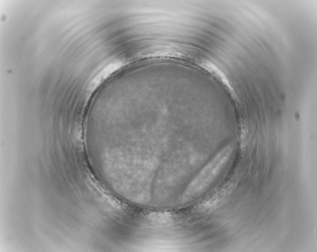 X0000088880882200706221812