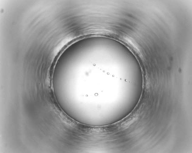 X0000088880883200706221812