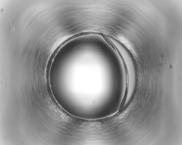 X0000088880884200706221812