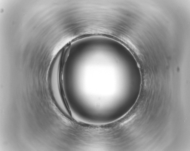 X0000088880885200706221812