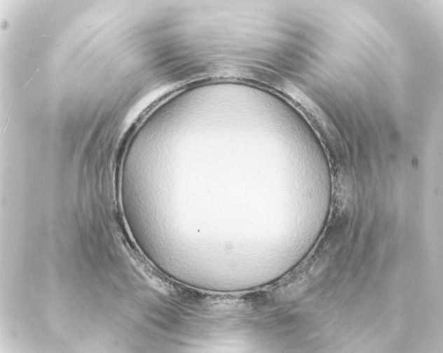 X0000088880886200706221812