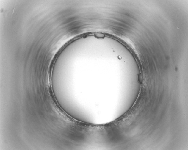 X0000088880887200706221812