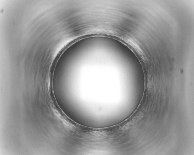 X0000088880888200706221812