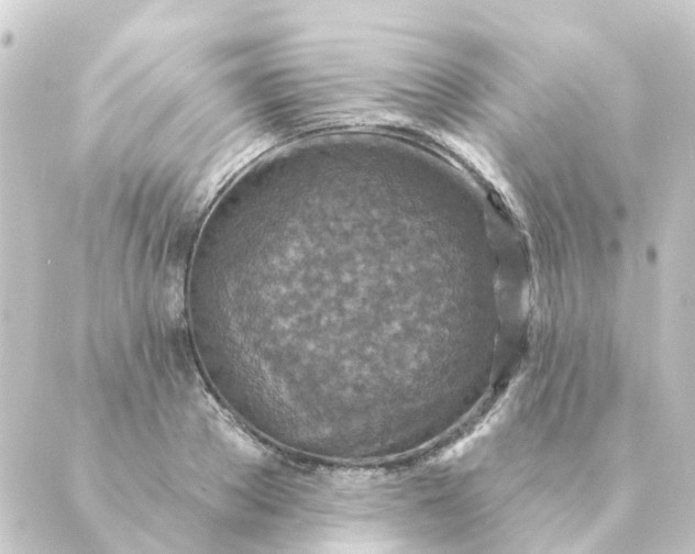 X0000088880889200706221812