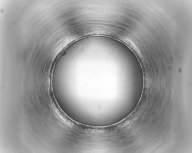 X0000088880890200706221812