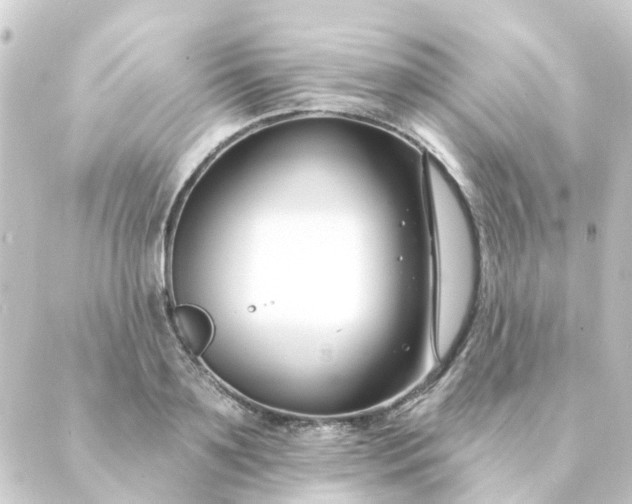 X0000088880891200706221812