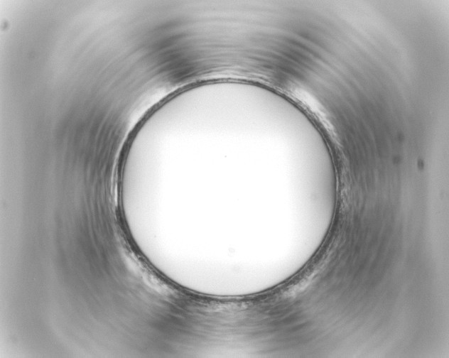 X0000088880892200706221812