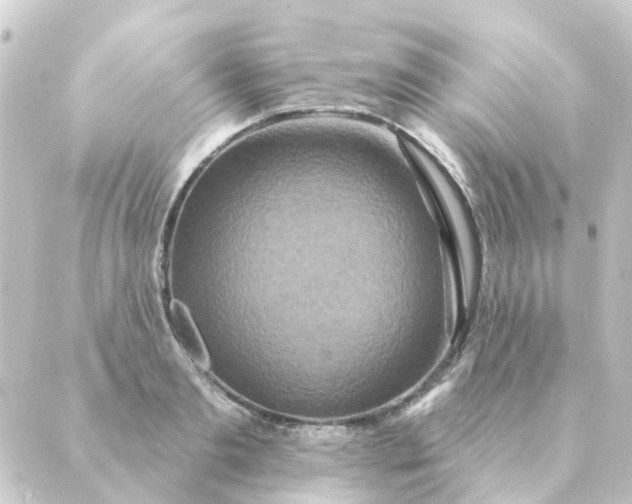 X0000088880893200706221812