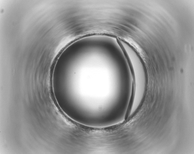 X0000088880894200706221812