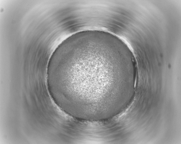 X0000088880895200706221812