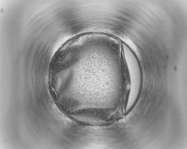 X0000088880896200706221812