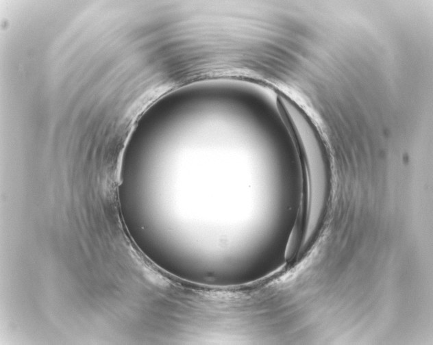 X0000088880897200706221811