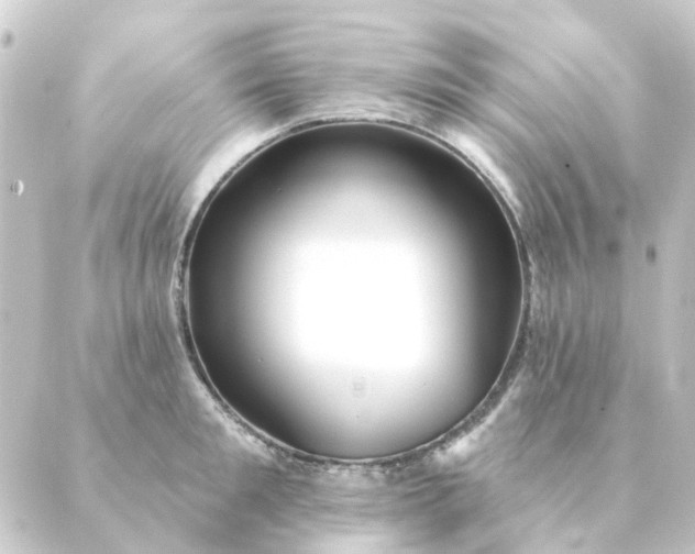 X0000088880901200706221811