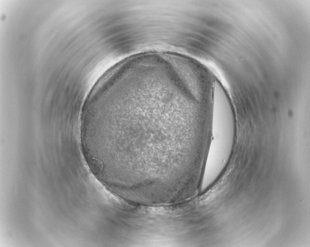 X0000088880903200706221811