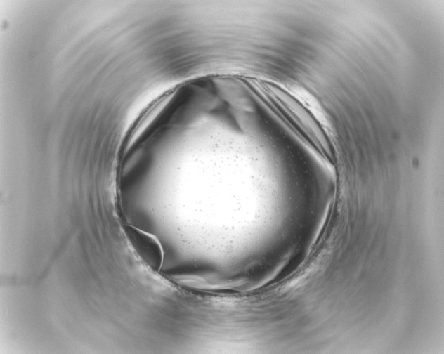 X0000088880904200706221811