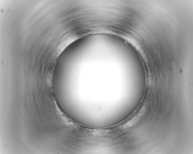 X0000088880905200706221811