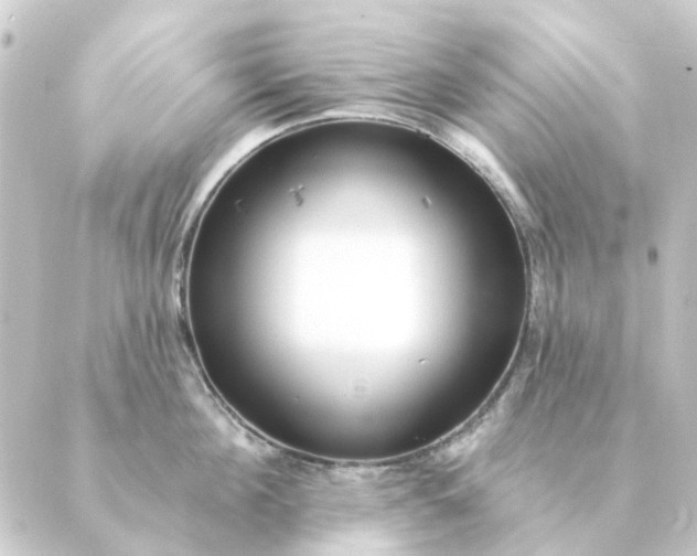 X0000088880908200706221811