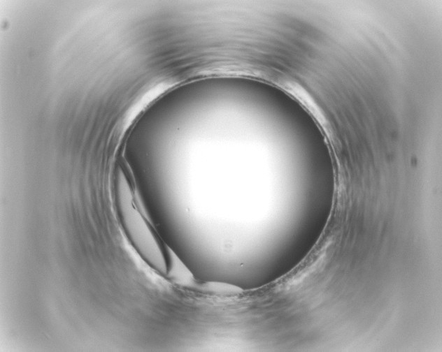 X0000088880909200706221811