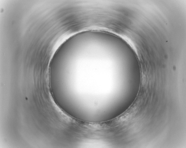 X0000088880911200706221811