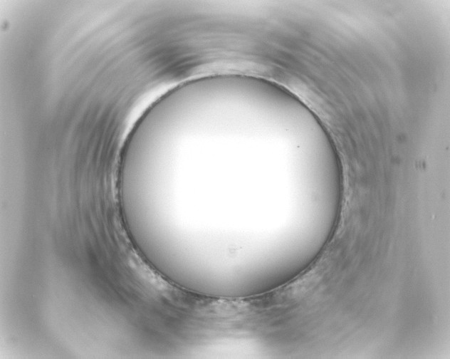 X0000088880912200706221811