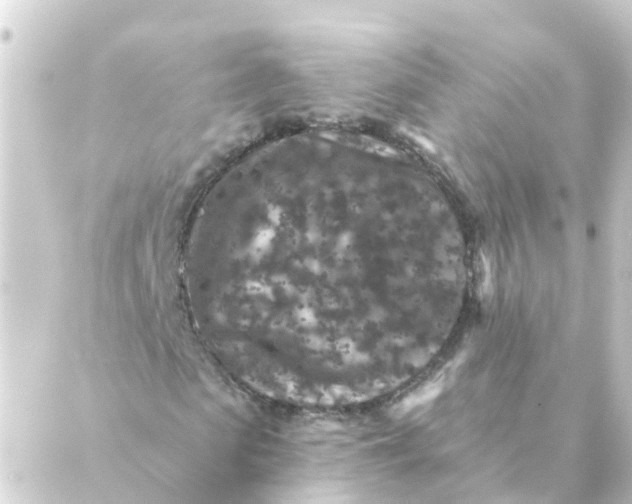 X0000088880913200706221810