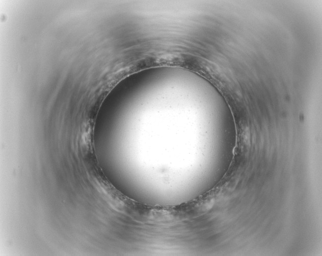 X0000088880914200706221810