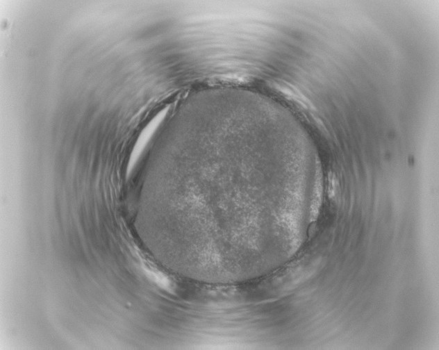 X0000088880915200706221810