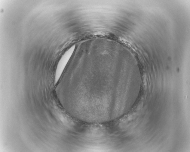 X0000088880916200706221811