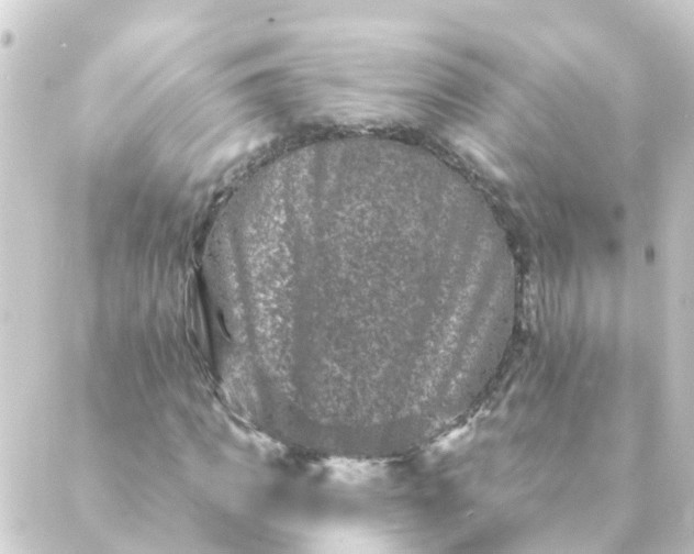 X0000088880917200706221811