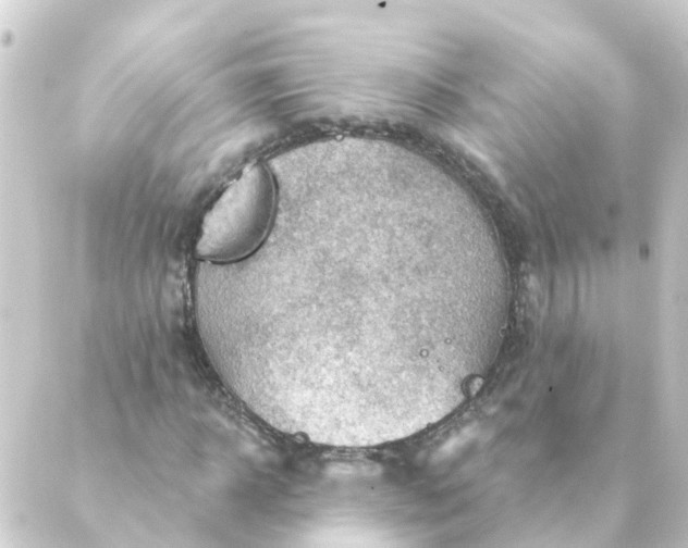 X0000088880918200706221811