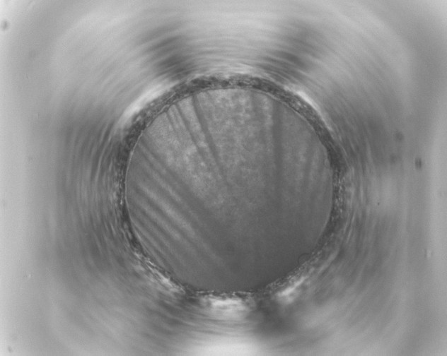 X0000088880919200706221811