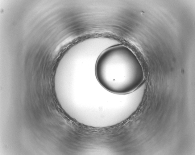 X0000088880920200706221811