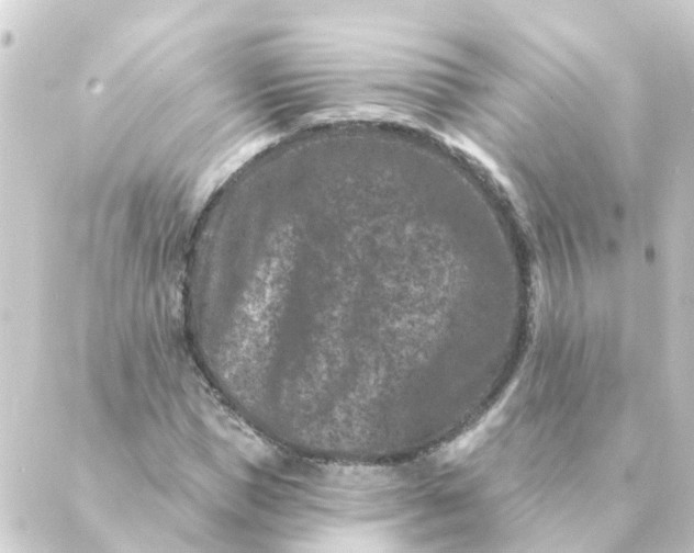 X0000088880921200706221811