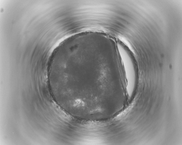 X0000088880923200706221811