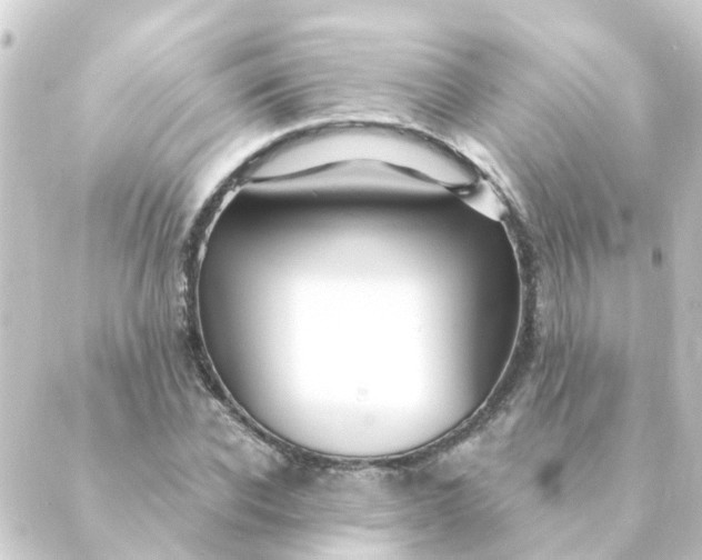 X0000088880926200706221811