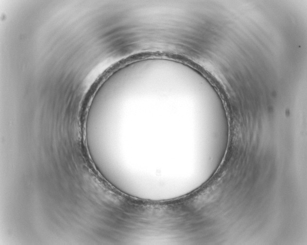 X0000088880927200706221811