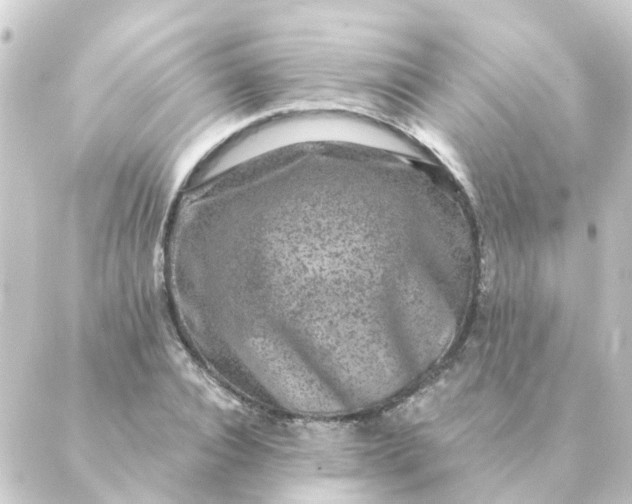 X0000088880928200706221811