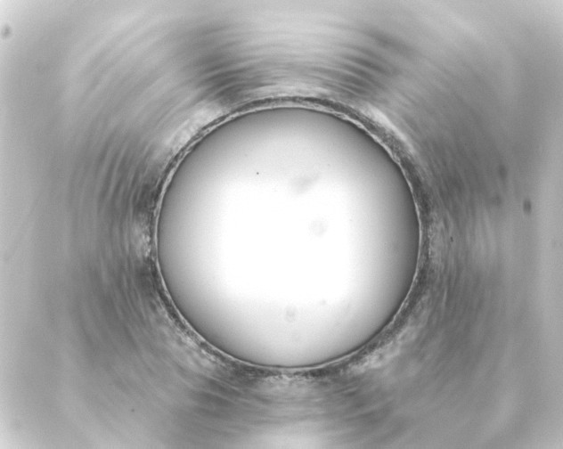 X0000088880929200706221811