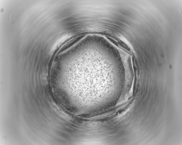 X0000088880930200706221811