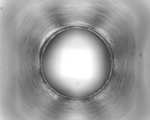 X0000088880931200706221811