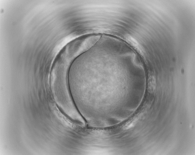 X0000088880932200706221811