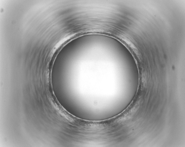 X0000088880933200706221811