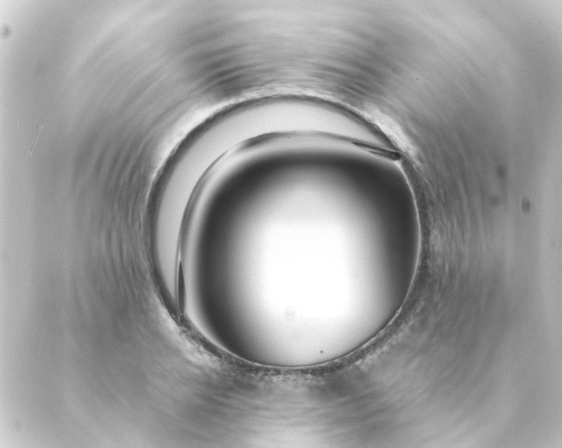 X0000088880934200706221811