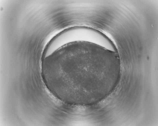 X0000088880935200706221811