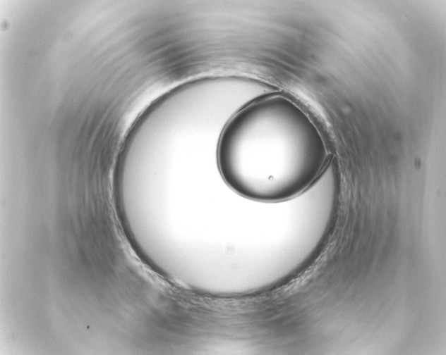 X0000088880936200706221811